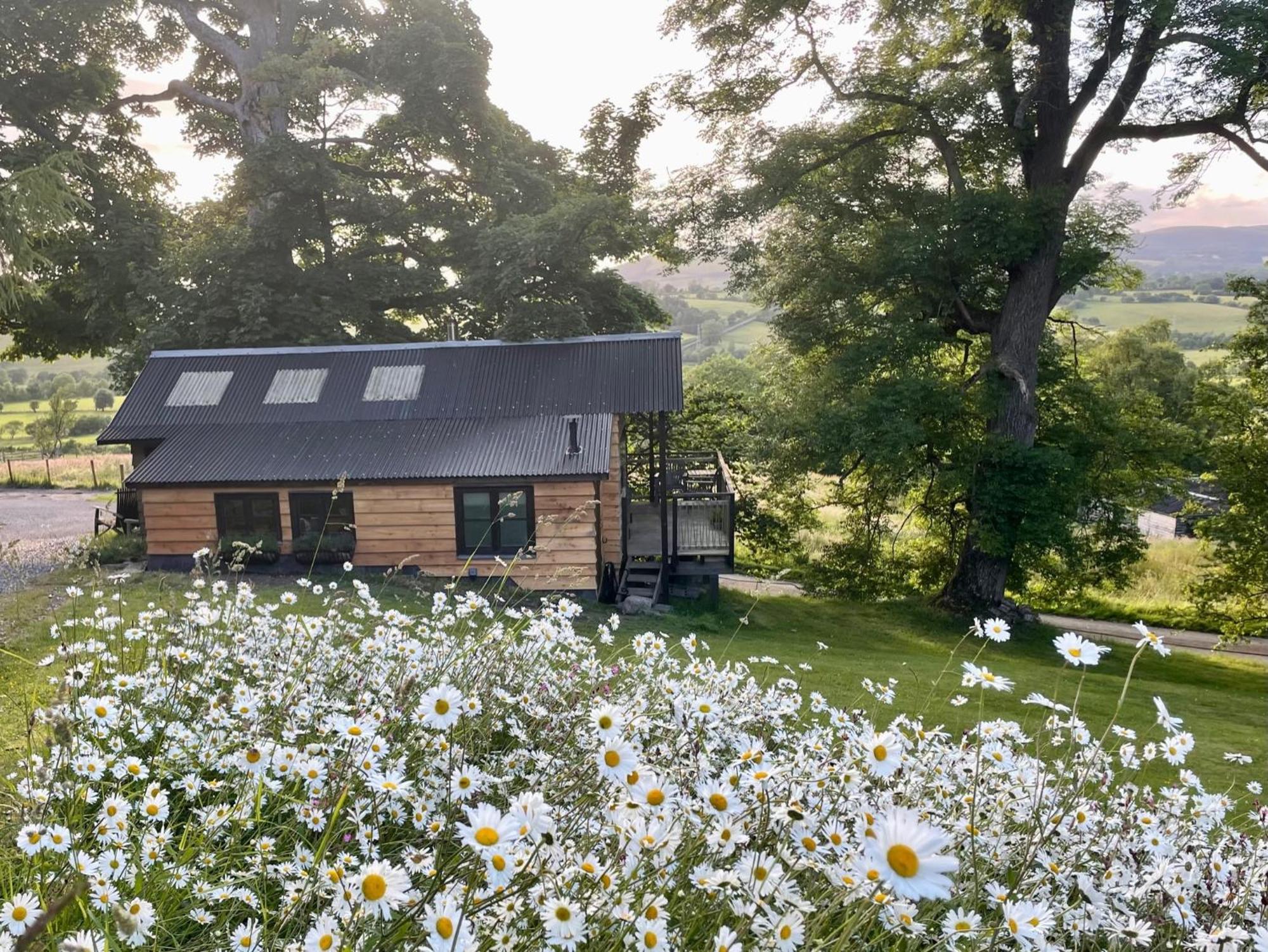 Вилла Faraway Follies Llandegla Экстерьер фото
